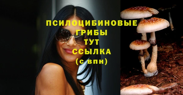 прущие крисы Баксан
