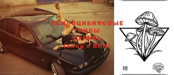 прущие крисы Баксан