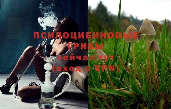 гидропоника Балабаново