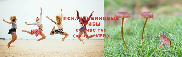 бутират Балахна
