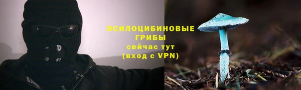 гидропоника Балабаново