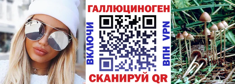 Псилоцибиновые грибы GOLDEN TEACHER  Фатеж 
